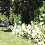 Rinalducci 4*