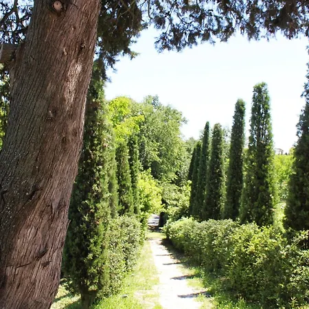 Rinalducci